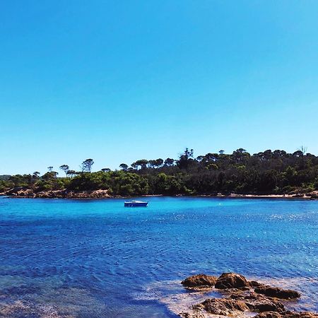T2 Avec Terrasse & Parking A 5 Min Du Centre, 10 Min Des Plages Hyères Kültér fotó