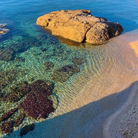 T2 Avec Terrasse & Parking A 5 Min Du Centre, 10 Min Des Plages Hyères Kültér fotó