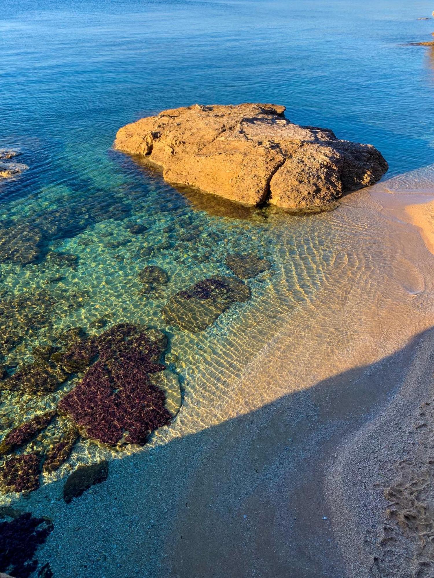 T2 Avec Terrasse & Parking A 5 Min Du Centre, 10 Min Des Plages Hyères Kültér fotó